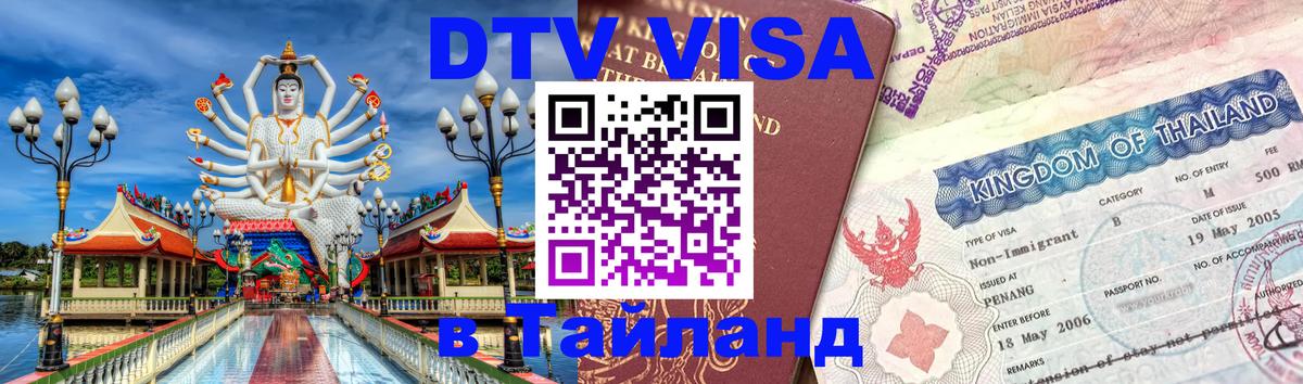 Оформление DTV визы под ключ: стоимость и тарифы, только загранпаспорт - 